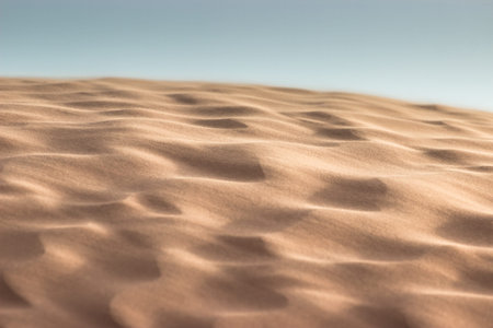 Details of sandy dunes in the Sahara Desertの写真素材