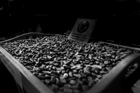 Aromatic cocoa beans as background. Black and white image