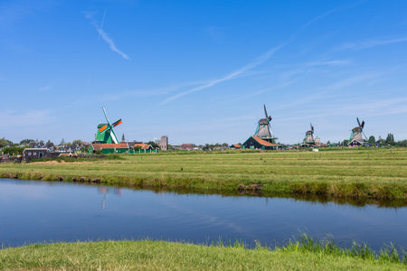 panoramic view of green meadow with windmills in Zaanse Schans, Netherlands