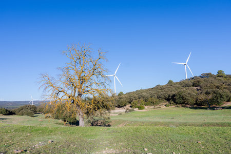 White windmills on natural pine and mountain landscape and clear blue sky. Clean and renewable...