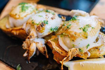 grilled cuttlefish with garlic sauce and parsley. food close-up.の写真素材