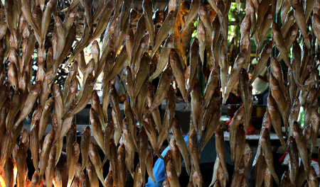 stockfish goby beer goby great snack to beerの写真素材