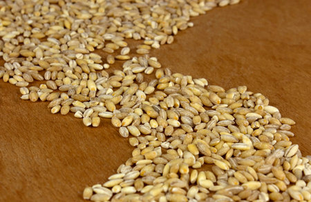 Raw organic pearl barley on the wooden table