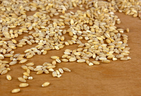 Raw organic pearl barley on the wooden table