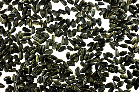 Black sunflower seeds  isolated over white backgroundの写真素材