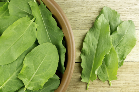 fresh green sorrel leaves in a bowl on the wooden background の写真素材