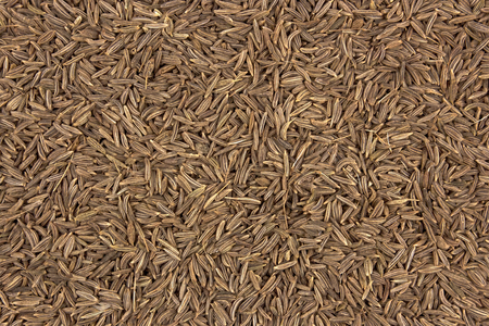 Surface covered with cumin seeds as a backdrop texture compositionの写真素材