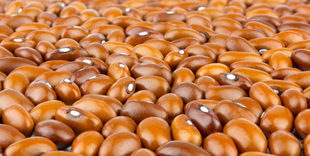 Colored haricot beans closeup on a background, top view, beans background.