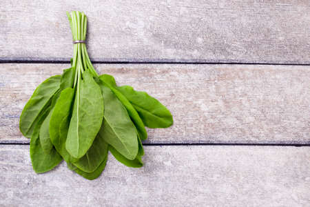 Fresh organic sorrel, on wooden table for spring green vegetables soup and salad. Spring green vegetables - sorrel spinachの写真素材