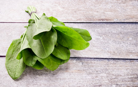 Fresh organic sorrel, on wooden table for spring green vegetables soup and salad. Spring green...
