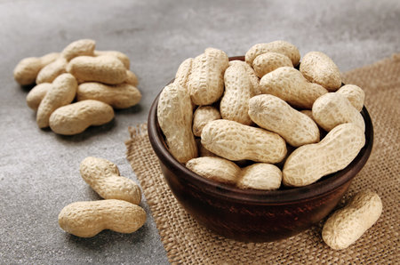 Organic Raw Peanuts in a Bowl on gray table. Natural nutrition organic food.の写真素材