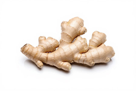 Fresh ginger root or rhizome isolated on white background