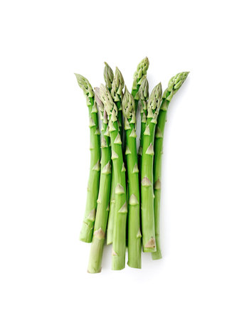 fresh green asparagus on a white backgroundの写真素材
