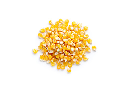 The corn seeds isolated on white background.