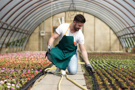 Portrait of a smiling greenhouse workerの写真素材