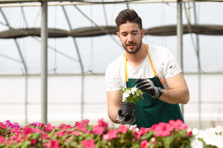 Portrait of a smiling greenhouse workerの写真素材