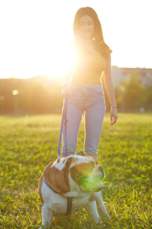 young Girl playing with English Bulldog at parkの写真素材