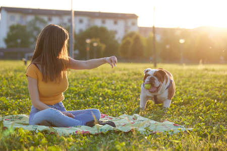 young Girl playing with English Bulldog at parkの写真素材