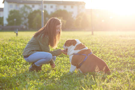 Women hugging a british bulldog and kissの写真素材