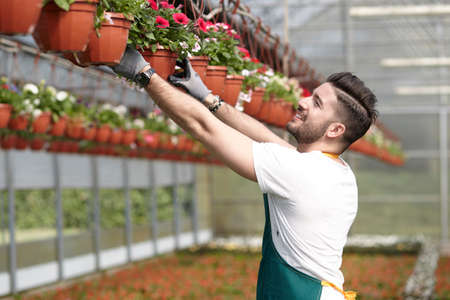 happy male nursery worker trimming plants in greenhouseの写真素材