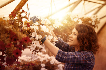 happy female nursery worker trimming plants in greenhouseの写真素材