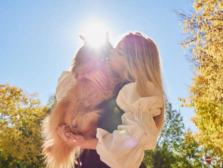 pretty blond girl play with Pomeranian dogの写真素材