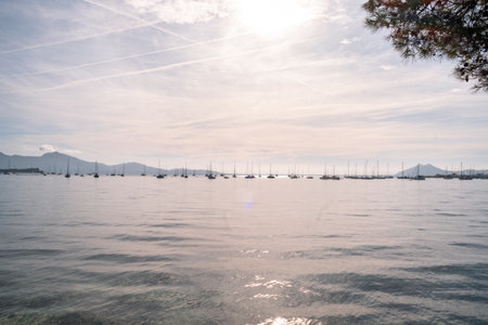 Sunset in Mallorca near the Mediterranean sea at summerの写真素材