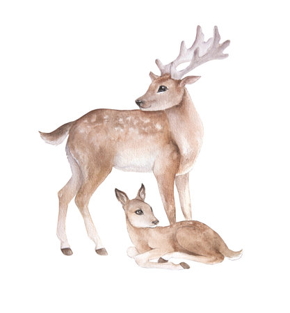 Watercolor cute illustration of two cartoon deers, isolated. For prints, baby things, patterns, interior stickersの写真素材