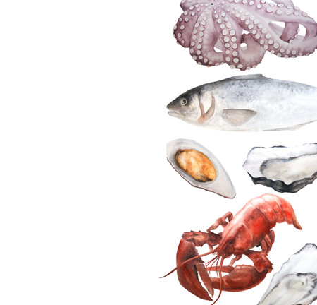Seafood watercolor illustration, vertical banner on white background.の写真素材