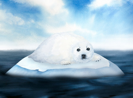 watercolor illustration of north sea landscape, seal baby pup, blue sky, floating ice floes, icebergの写真素材