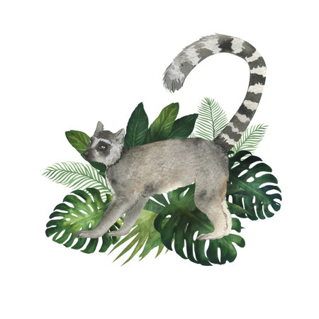 Watercolor illustration of lemur in the bushes of tropical plants. Hand drawn, isolated. Suitable...