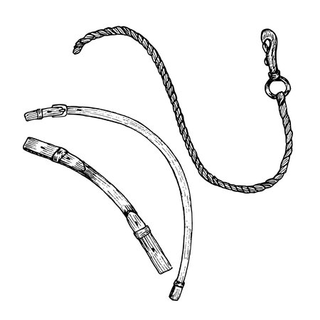 Graphic vector illustration of cord or rope with a carabiner, leather belts. Equipment for horse riding. Isolated. For cards, prints, decorのイラスト素材