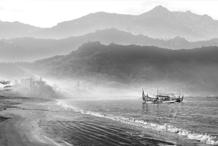 Morning fog on the beach