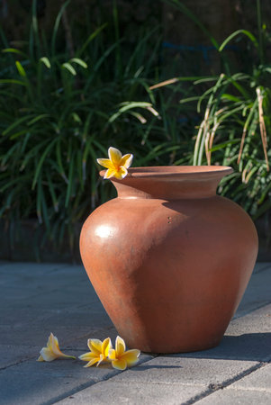 Traditional Indonesia clay pot with yellow frangipani flowerの写真素材