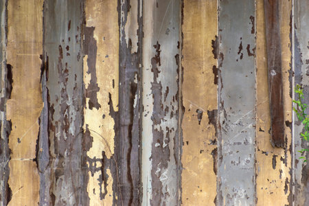 Abstract old wood texture with peeling paint  background