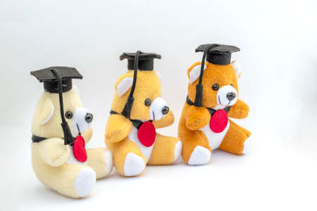 Isolate three teddy bears doll with graduation hat on white backgroundの写真素材