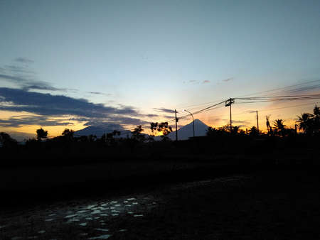 morning 7の写真素材