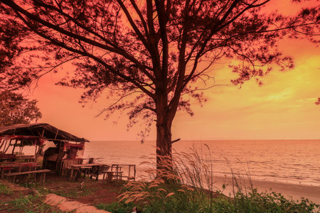 Beautiful views of the sky and red in the afternoon on one of the Indonesian beaches