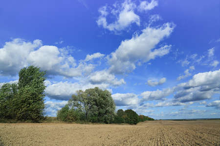 Cumulus clouds in blue sky over plowed fieldの写真素材