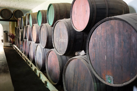 Wine Vault