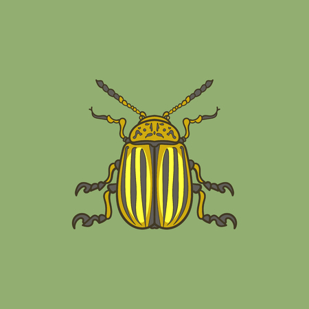 Colorado potato beetle vector color illustration for text decorationのイラスト素材