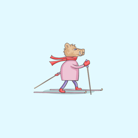 boar on skis. Vector illustration. Postcard for the year of the boarのイラスト素材