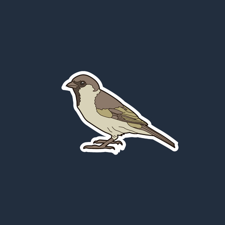 simple isolated color vector illustration of a sparrow on a dark background with edgingのイラスト素材