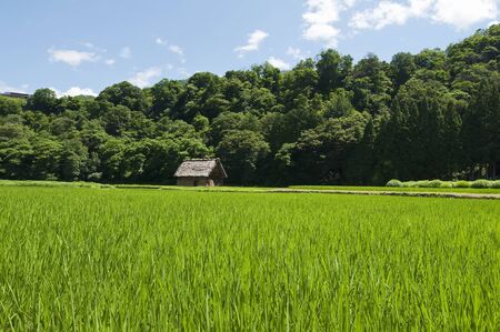Green prairie home の写真素材