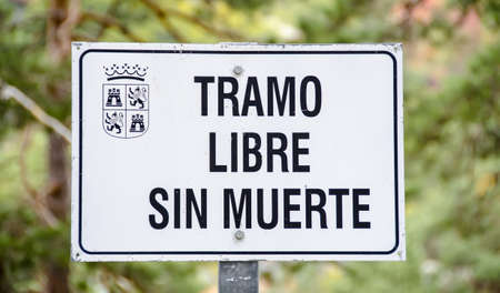 Signal free stretch without death in the forestの写真素材