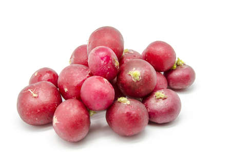 Several Radishes on white backgroundの写真素材