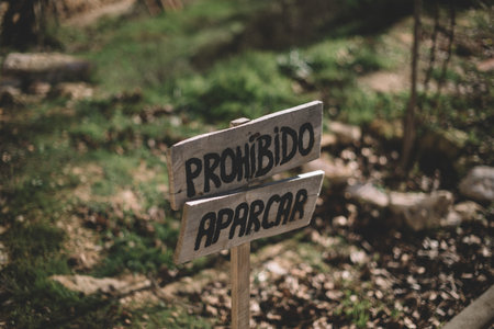 Wooden sign parking is prohibited