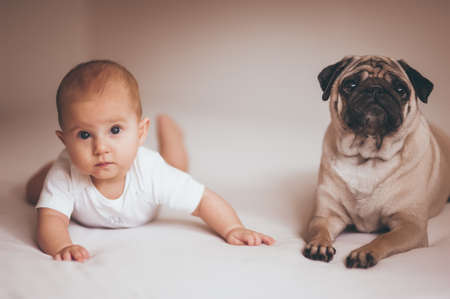 new born baby girl with pug dogの写真素材