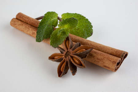 cinnamon, star anise and mint  on white backgroundの写真素材