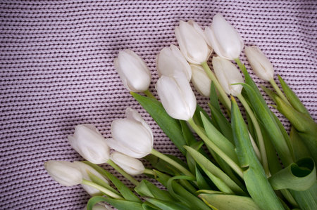 a white tulips bouquet on knitted texture backkground